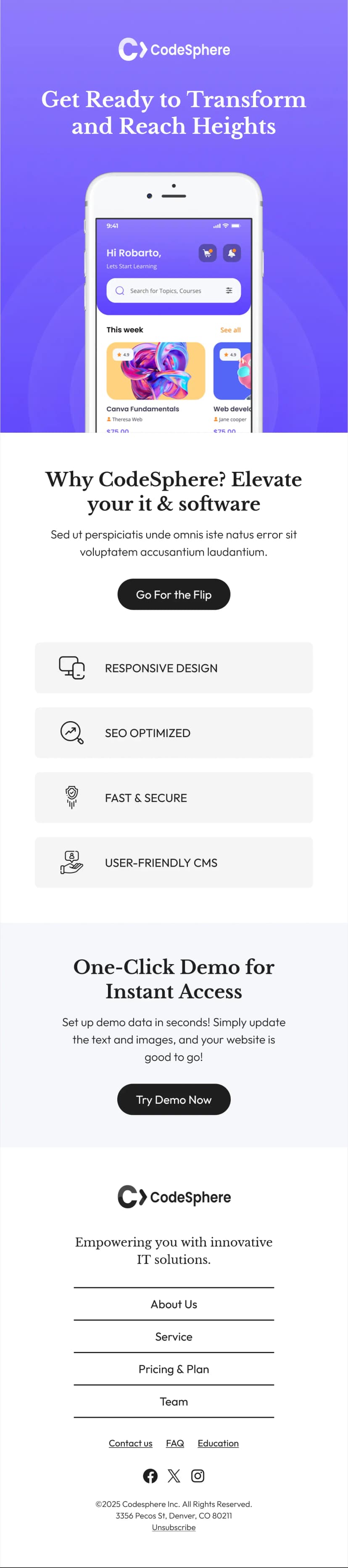 IT & Software Newsletter Template