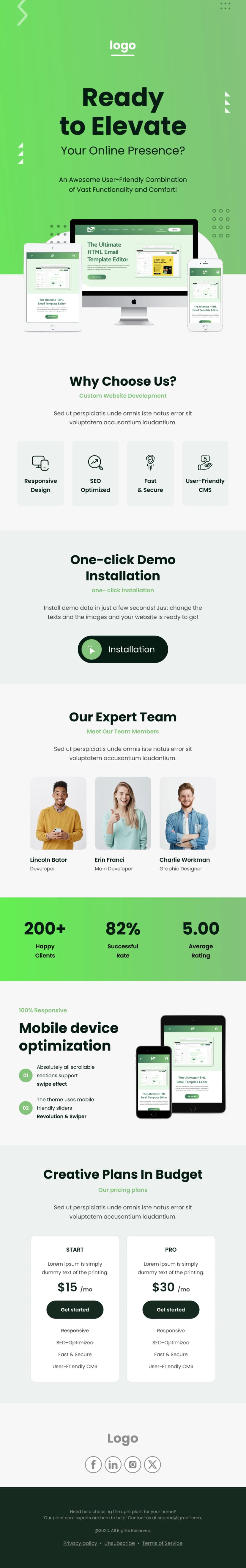 Website Development Newsletter Template