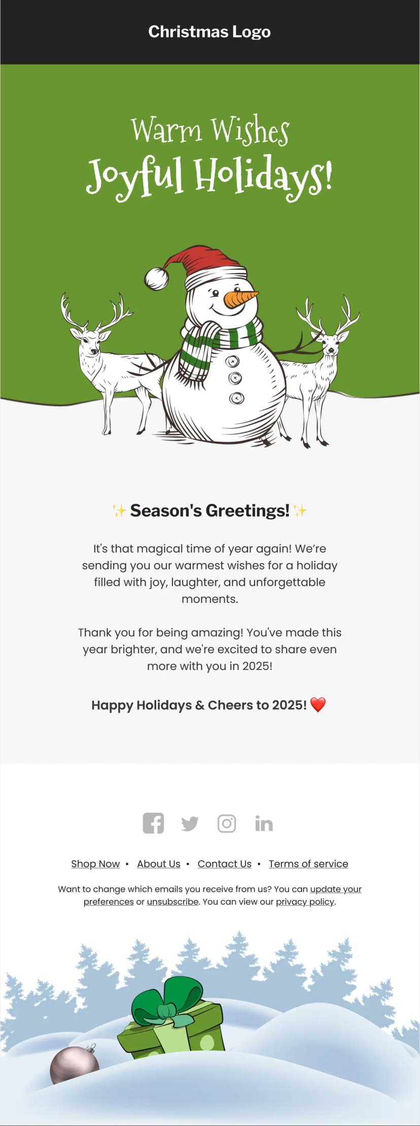 Holiday Greetings Newsletter Email Template