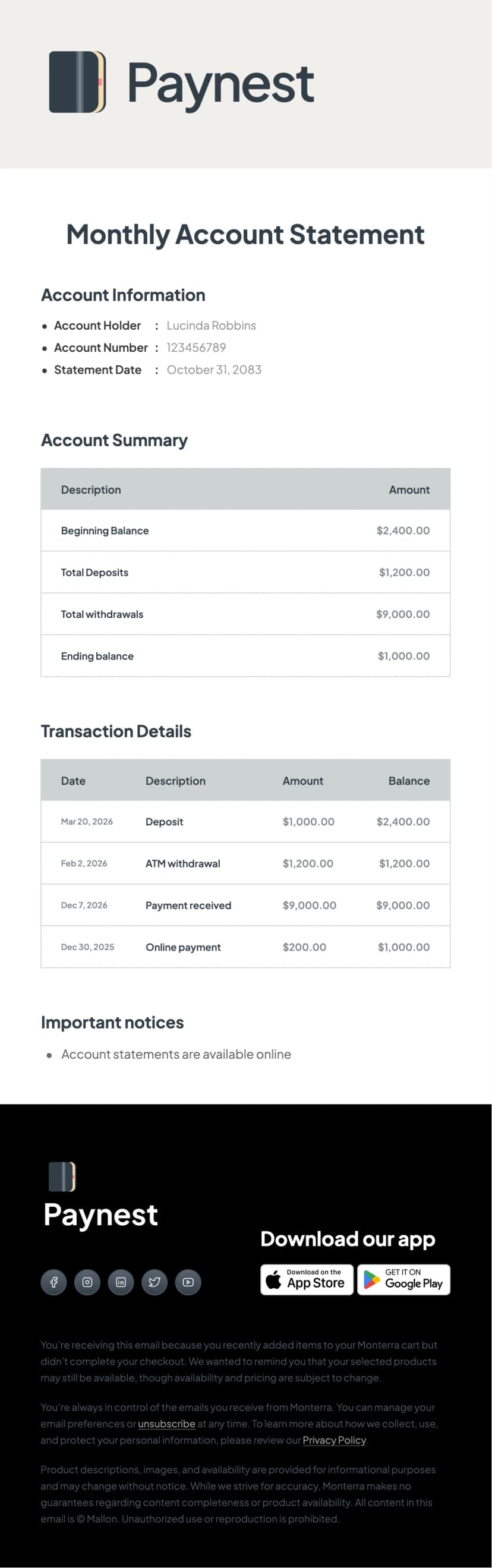Account Statement Email Template