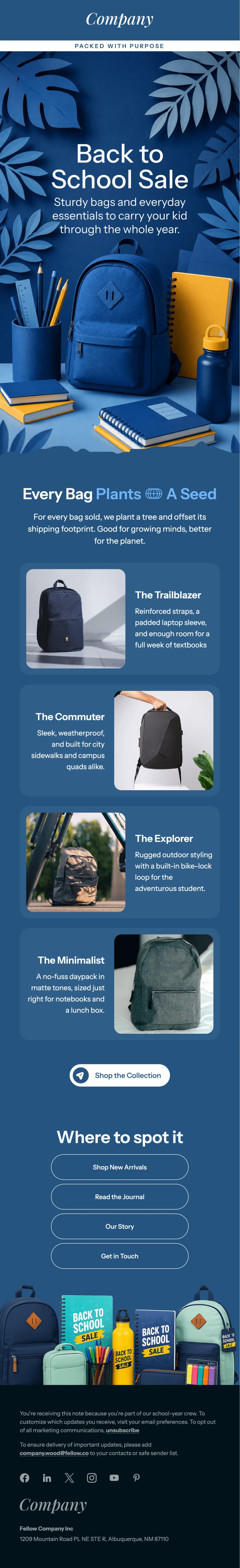 Back to School Sale Email Design Template